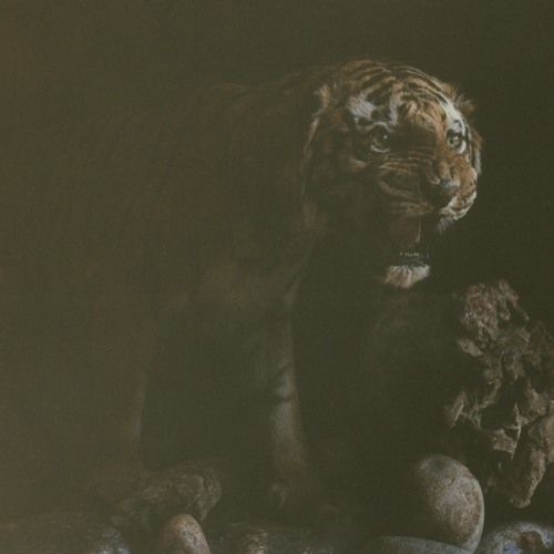 Flashback (feat. Devin Morrison & Pink Siifu)