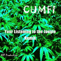 YOUR LISTENING TO THE JUNGLE REMIX