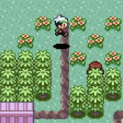 $hawty Hoenn