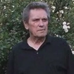 If You Could See Me Now,   Gene Jumper,  Elvis ( cover song )