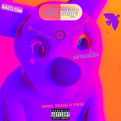 Fake Molly (prod. tenno & yung)