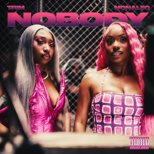 Nobody (feat. Monaleo) [Remix]