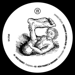 Premiere: New Frames & Unhuman - Commander [PEVA09]