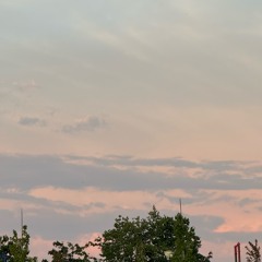 Воздушные шары