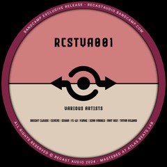 Premiere : DIKKA - Nintendo Days (RCSTVA001)