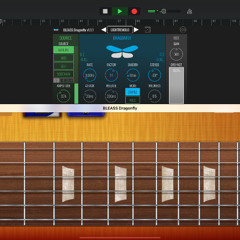 Roots Rock Improvisation [GB iPad] 062