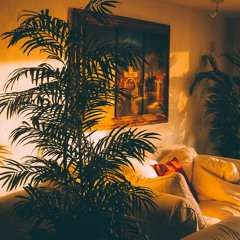 Donato - Beachfront