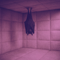 batsh!t crazy