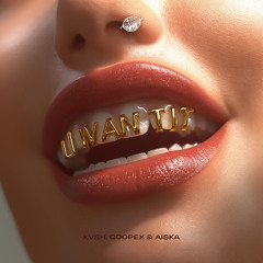 KVSH, Coopex & AISKA - U Want It