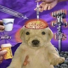 houseofcards [prod. falci]