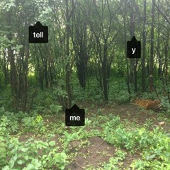 Net Worthy - re d Saki