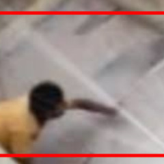 [leak video 18++]muradnagar viral video original link