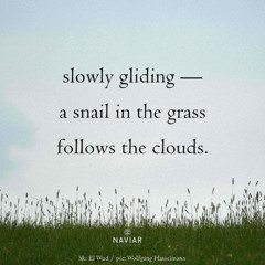 Following The Clouds - (naviarhaiku - 632)
