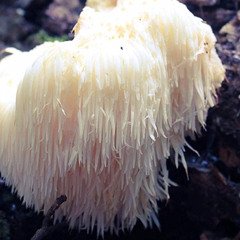 Tension and Release (w/ Kefa Crow).wav