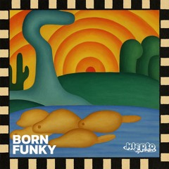 Born Funky (Kleptoman Bootleg)