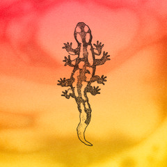 MAGMIX 02 • 25/02/2025