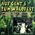 Artwork for Glückschmied Polka