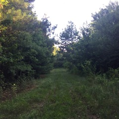 North Mississippi mid-Morning Chorus