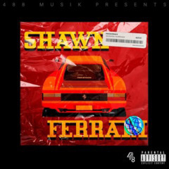Spider Outside - Shawn Ferrari