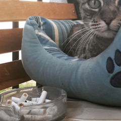 Quit (practice take)