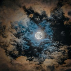 Fly Me to the Moon