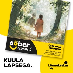 "Üksildane kummitus", autor Veera Degerholm, loeb Lisa Piret Pajusaar