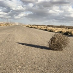 Gone (Early Version)