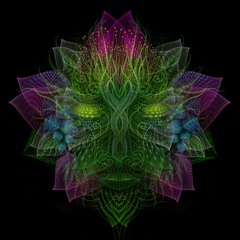 Some Psy in Life 011 - B2B with KrønøFrøst @ KUB