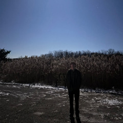 guide dog by quadeca cover slowed