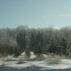 Yashin (Feliz Pumple Wabis)