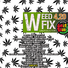 DJ Crossfire - Weed Fix 420 Mix - 4.20.2024 - Unity Sound