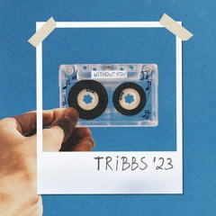 Tribbs, sky sound - Without You (Remix)