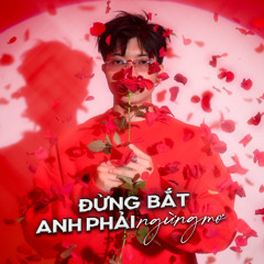 Đừng Bắt Anh Phải Ngừng Mơ
