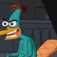 There's A Platypus Controlling Me - Lofi Remix