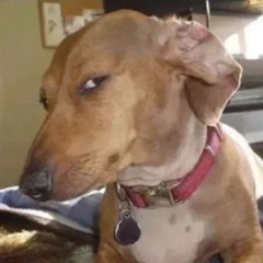 MHM (prodbyabnormal)