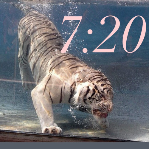 2hollis Nate Sib - Us