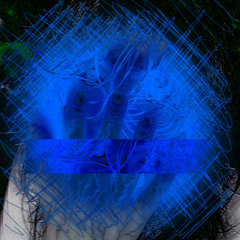 Shadow of feelings ft. Shinigami