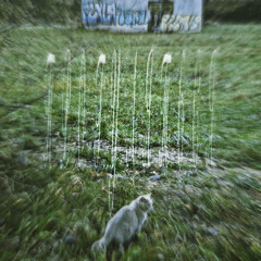 ПРОГУЛЯТЬСЯ