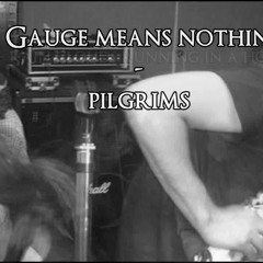 Gauge Means Nothing - Pilgrims