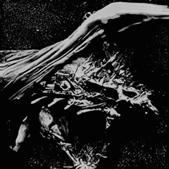 R-010 - Killer Konga