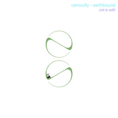 camoufly - earthbound (col-b edit)