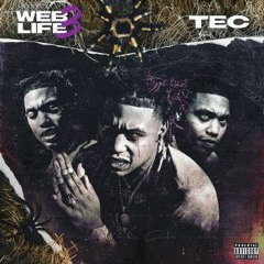 TEC - NIP