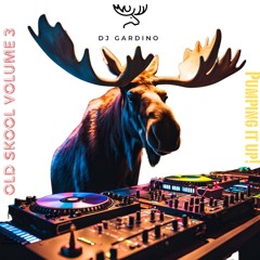 Old Skool Volume 3 - Pumping It Up!