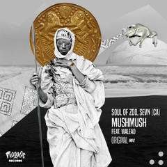 Premiere | Soul of Zoo & SEVN (CA) | MushMush feat. Walead [Frooogs Records]