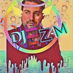 Hashem Melech DJ ZAM Remix