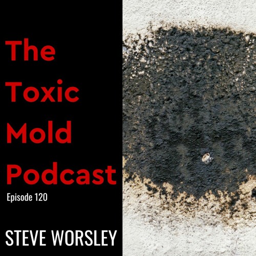 EP 120: We Found a Black Mold Infestation.  What are the Next Steps?