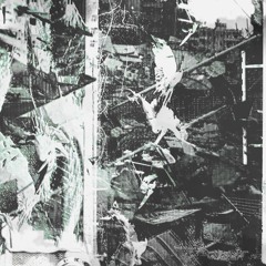 Low Resolution Entropy (Scape from Deuteronomio)