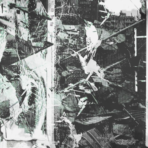 Low Resolution Entropy (Scape from Deuteronomio)