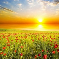 It's a Beautiful Day feat Patricia Edwards on vocals