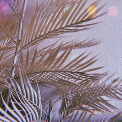 Jungle studio mix vol 2